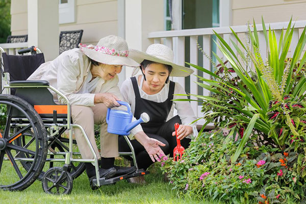 NDIS gardening